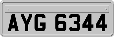 AYG6344