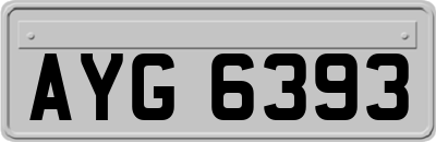 AYG6393