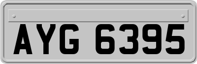 AYG6395