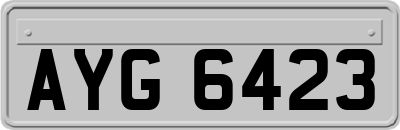 AYG6423