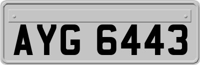 AYG6443