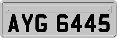 AYG6445