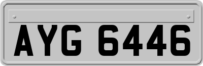 AYG6446