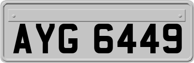 AYG6449