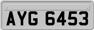 AYG6453