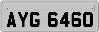 AYG6460