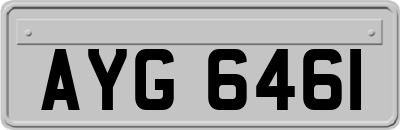 AYG6461