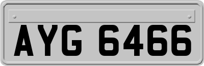 AYG6466