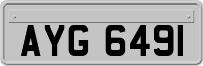 AYG6491