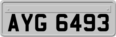 AYG6493