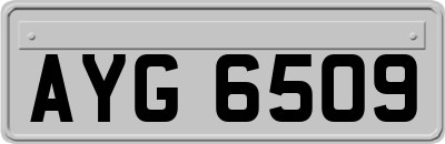 AYG6509
