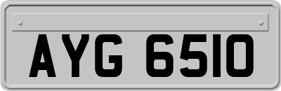 AYG6510