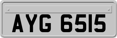 AYG6515