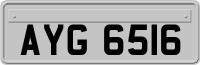 AYG6516