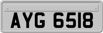 AYG6518