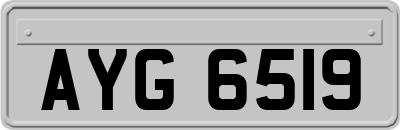 AYG6519