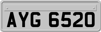 AYG6520
