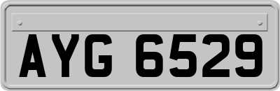 AYG6529