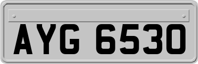 AYG6530