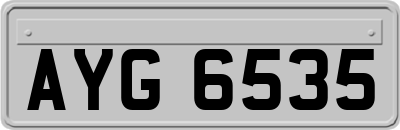 AYG6535
