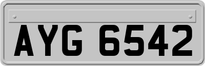 AYG6542