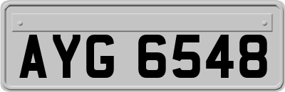 AYG6548