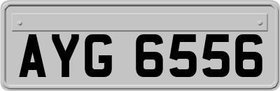 AYG6556