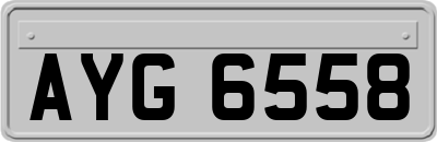 AYG6558