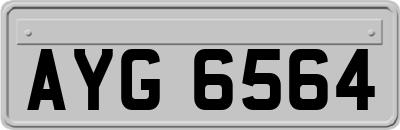 AYG6564