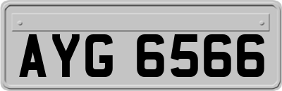 AYG6566