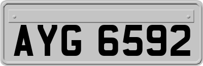 AYG6592