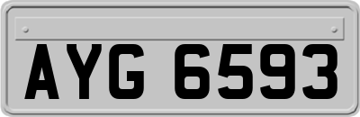 AYG6593