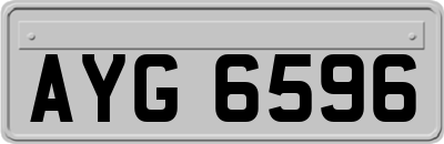 AYG6596