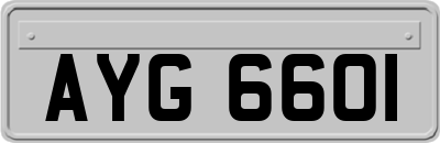 AYG6601