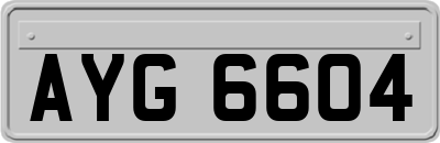 AYG6604