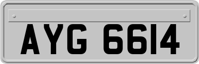 AYG6614