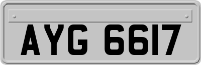 AYG6617