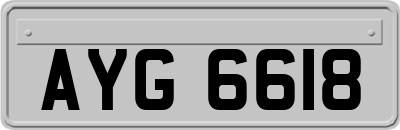 AYG6618