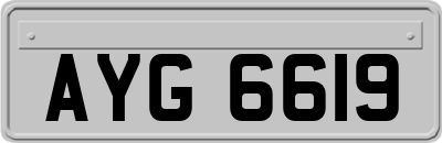 AYG6619