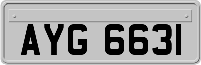 AYG6631