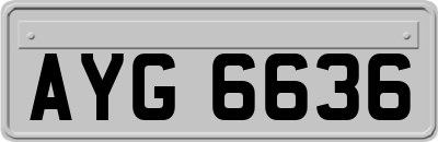 AYG6636