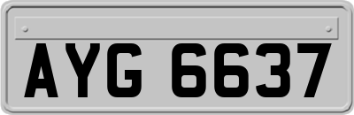 AYG6637