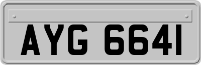 AYG6641