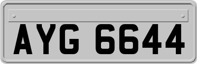 AYG6644