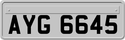 AYG6645