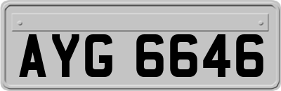 AYG6646