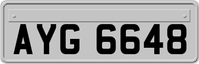 AYG6648