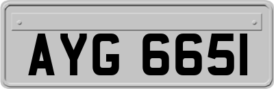 AYG6651