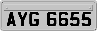 AYG6655