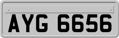 AYG6656